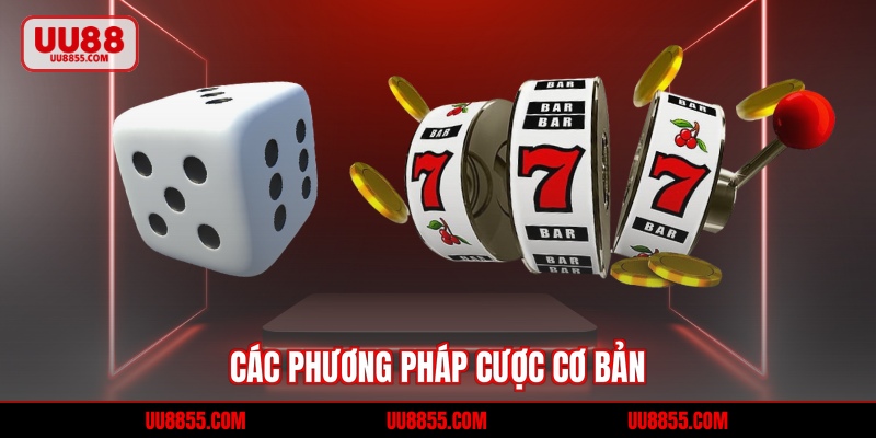 Các phương pháp cược cơ bản