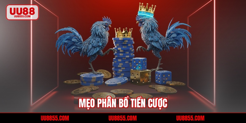 Mẹo phân bổ tiền cược