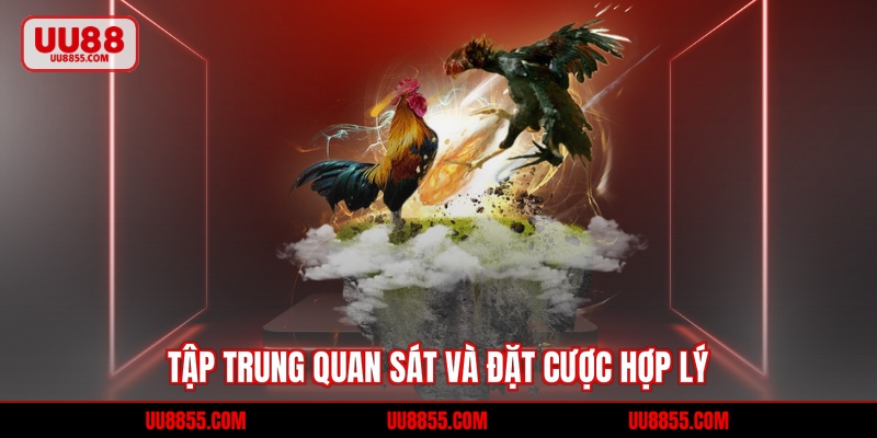 Tập trung quan sát và mẹo để đặt cược hợp lý 