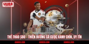 Thể Thao SBO - Thiên Đường Cá Cược Xanh Chín, Uy Tín