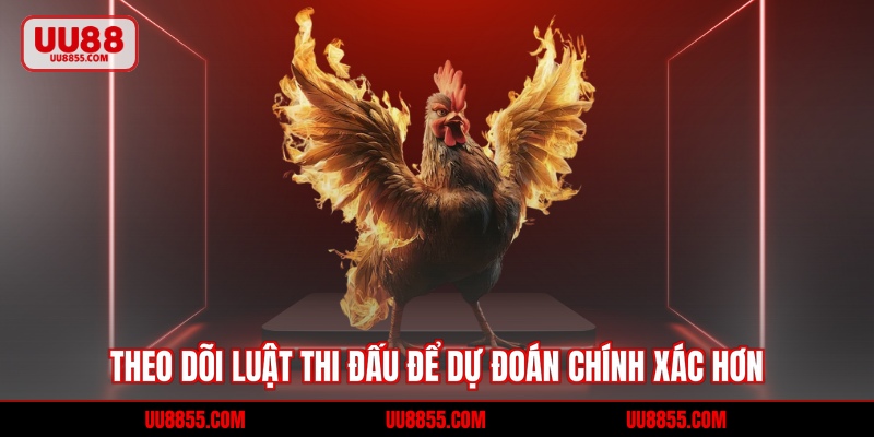 Theo dõi luật thi đấu để dự đoán chính xác hơn