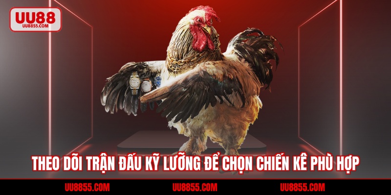 Theo dõi trận đấu kỹ lưỡng để chọn chiến kê phù hợp