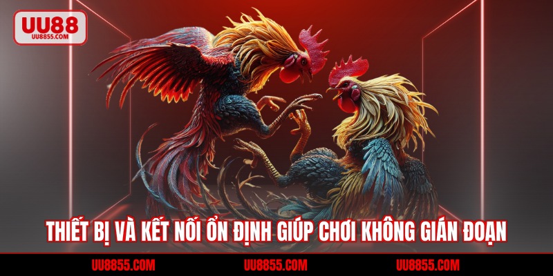 Thiết bị và kết nối ổn định giúp chơi không gián đoạn