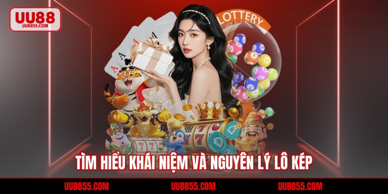 Tìm hiểu khái niệm và nguyên lý lô kép