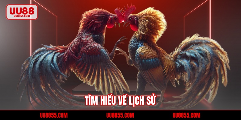 Tìm hiểu về lịch sử